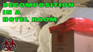 Decomposition in Hotel Dead for Three Weeks [upl. by Eiramalegna530]