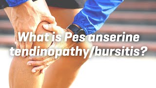 What is Pes anserine tendinopathybursitis [upl. by Mareah315]