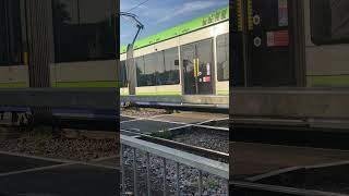 Stadler Variobahn at Therapia Lane londontram tramspotting tramway tramlink [upl. by Asim]