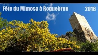 Fête du Mimosa à Roquebrun 14022016 [upl. by Ecidnak]