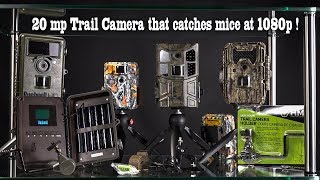 Victure HC600 Trail or Game Camera 20 megapixel stills 1080 p Video Review [upl. by Porte]