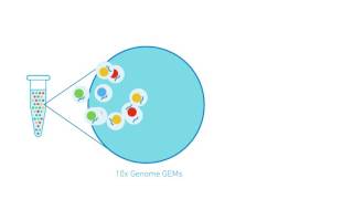 10x Genomics Chromium Genome 系統原理  威健生技 [upl. by Esdnil65]