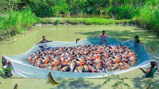 ROOPCHAND FISH CATCHING  Red pomfret fish fry  pond water fishing and cooking in our village [upl. by Jimmie]