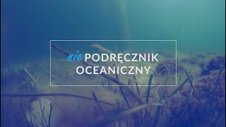 Niepodręcznik Oceaniczny odc55 quotMorskie wirusyquot [upl. by Judus925]