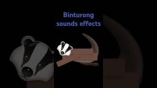 Binturong sounds effects [upl. by Atniuqal]