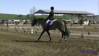 317D Samantha Sager SR Beginner Novice Dressage Twin Rivers March 2012 [upl. by Faxen]