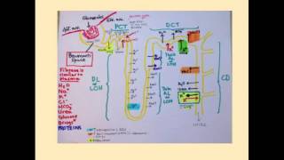 Sodium Imbalances  CRASH Medical Review Series [upl. by Gigi]