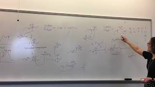 Amide reduction mechanism  LiAlH4 [upl. by Monty78]