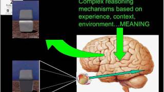 WCPT Congress  Focused symposium Pain Management [upl. by Butcher]