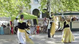 Les Tisseuses de Rêves et la Panacée 1  Carnaval Besançon 2017 [upl. by Curr]