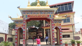 Golden Temple Famous Tourist place in Kodagu [upl. by Noffets905]