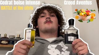 Mancera Cedrat Boise vs Creed Aventus the BEST citrus fragrances [upl. by Ahseirej]