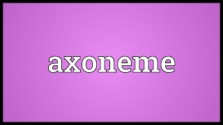 Axoneme Meaning [upl. by Alexandra229]