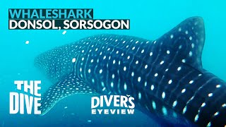 WATCH A 4meter WHALESHARK in Donsol Sorsogon Philippines [upl. by Leena711]