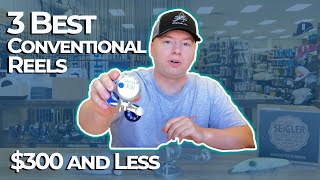 The BEST 3 Saltwater Conventional Reels 300 and Under [upl. by Eniowtna]