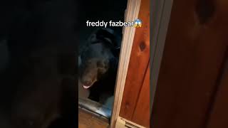 Freddy Fazbear Xde meme fnaf fnaflapelicula fnafpelicula y freddyfazbear meme memesfnaf 🐻 [upl. by Phedra145]