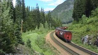 CP Rail long trains and a bear near canyon hot springs BC  Canada [upl. by Nosidda]