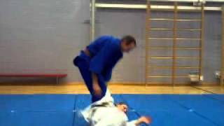 25 Traditional Japanese JiuJitsu Throws [upl. by Rianna]