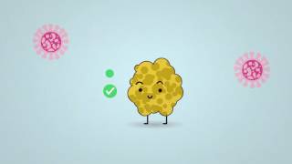 Science in 1 minute what are lichens [upl. by Wash]