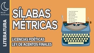 La métrica y las licencias poéticas [upl. by Niak]