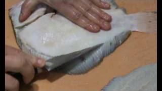 Steinbutt filetieren  How to filet turbot [upl. by Weigle516]