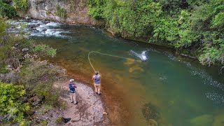 This River is Incredible Big Fish Everywhere [upl. by Robbie]