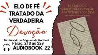 Audiobook 22 do Tratado de verdadeira devoção a Santissima Virgem por s Luís M G de Montfort [upl. by Nohj]