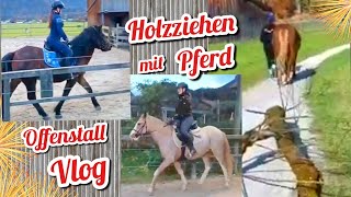 Pferde Vlog 🐴 FMA am Offenstall 🏡 Jungpferd reiten 💩 Matschfreier Paddock bei Starkregen amp Gatsch [upl. by Aksel]