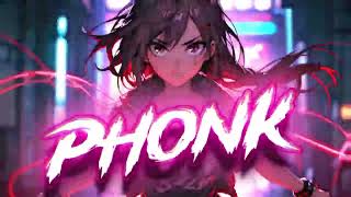 Top Phonk Music 2024  Best Aggressive Drift amp Gym  Viral TikTok Phonk [upl. by Neeruan]