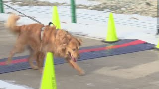 FamilyCore host 23rd annual Frosty 5k at the Peoria Riverfront [upl. by Mages196]