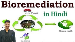 Bioremediation  Environment amp Ecology Crash Course  💥 DOWNLOAD BUDDHI IAS APP💥 [upl. by Notrem]