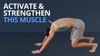 3 Top Exercises to Wake Up SERRATUS ANTERIOR PLUS Anatomy Explained [upl. by Ramirolg758]