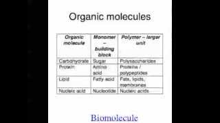 Ep24  Biomolecules Unit 3 [upl. by Wrightson798]