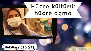 Hücre kültürü hücre açma [upl. by Melicent]