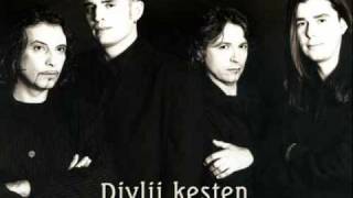 Divlji Kesten  Gori gori 1995 [upl. by Walston]