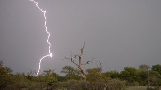 Amazing lightning bolts and thunder storm in Southern Africa [upl. by Arihas]