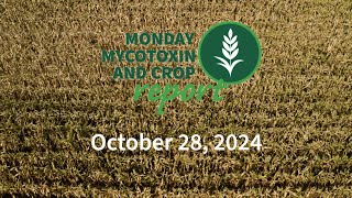 Monday Mycotoxin and Crop Report for October 28 2024 [upl. by Agostino]