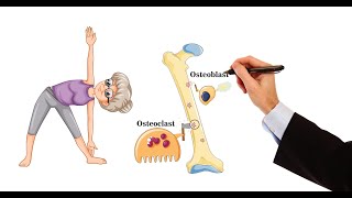 Pharmacology  DRUGS FOR OSTEOPOROSIS MADE EASY [upl. by Halima973]