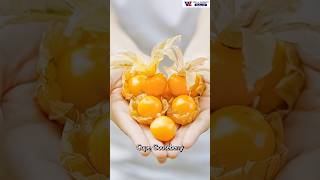 🌟 Discover the unique taste of Cape Gooseberry 🌟 [upl. by Melly435]