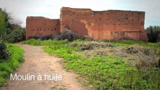 Agdal Gardens in Marrakesh [upl. by Karim376]