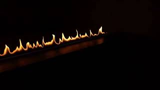 Automatic bioethanol fireplace Gloss Fire DALEX [upl. by Garibold712]