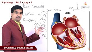 Physiology of Heart sounds made simple  USMLE Step 1 [upl. by Jezrdna]