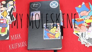 18  MY MOLESKINE КАК Я ВЕДУ ЕЖЕДНЕВНИК  разворот на месяц и день  ГЛАЗА И ГУБЫ [upl. by Limemann]