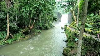 7 Falls Zipline Lake Sebu Travel Vlog Part 2 South Cotabato [upl. by Ramunni904]