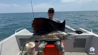 Sailfish Fishing 🎣 Rompin Sep 2024 Malaysia Highlights [upl. by Yve24]