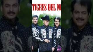 🎸🪗 MI PUBLO QUERIDO 🪗 Los Tigres del Norte 🪗 [upl. by Pierce]