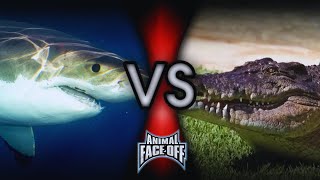 Animal Face Off 112  Great White Shark vs Saltwater Crocodile [upl. by Hunger]