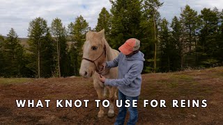 HOW TO TURN YOUR LEAD ROPE INTO REINSRIDE IN A HALTER [upl. by Aerbas783]