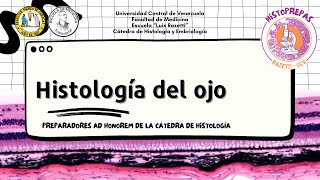 18 Historepasos  Histología del ojo [upl. by Brownson]