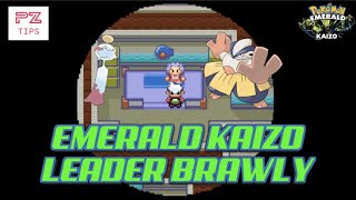 Leader Brawly  Pokemon Emerald Kaizo Hardcore Nuzlocke  Intimidate Support and Chimecho Dominate [upl. by Yrro]